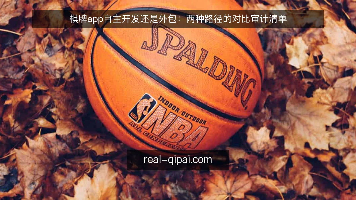 棋牌app自主开发还是外包:两种路径的对比审计清单